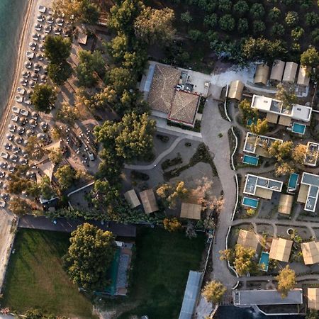 Ergon Beach House Nikiti 외부 사진