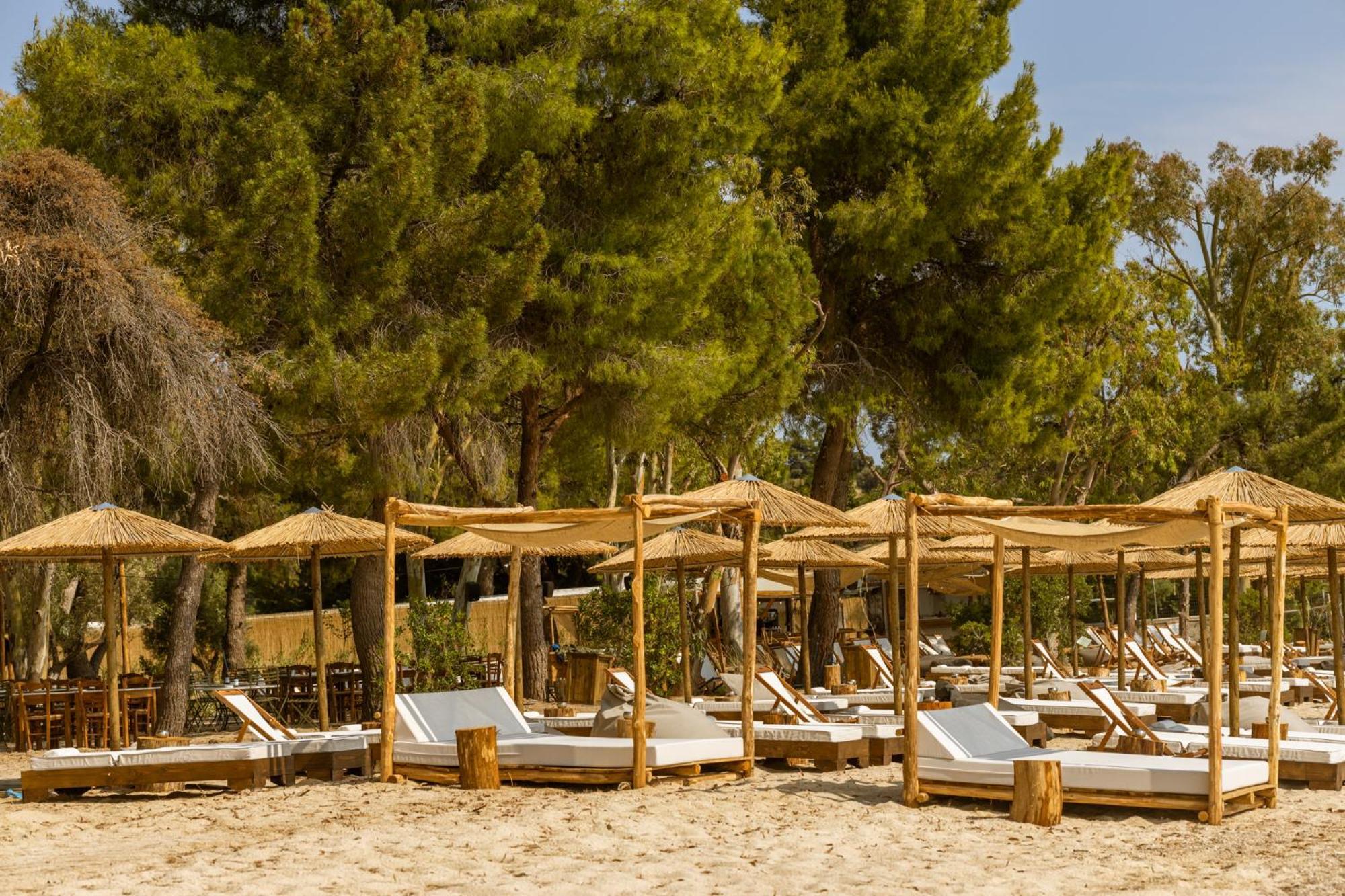Ergon Beach House Nikiti 외부 사진